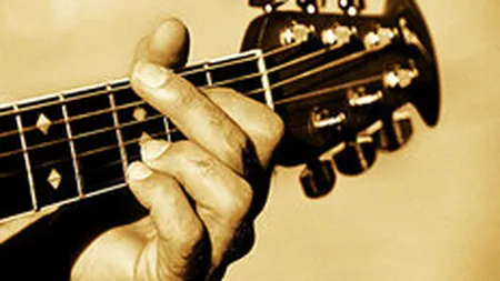 Chitarele nu mai canta la fel in 2009: Criza a stopat avantul de pe piata instrumentelor muzicale