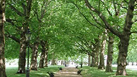 ONU va amenaja un parc in Sighisoara, cu 700.000 lei