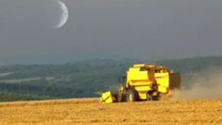 Ministerul Agriculturii va subventiona motorina pentru lucrarile agricole de toamna cu 1 leu/litru