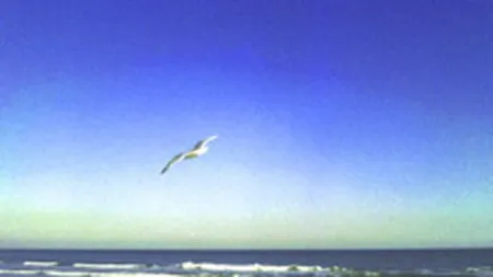 Peste 154.800 de turisti pe litoralul romanesc in week-end-ul trecut