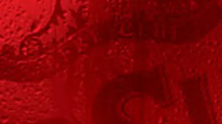 Ursus Breweries a decis dizolvarea si lichidarea Bere Azuga Distribution