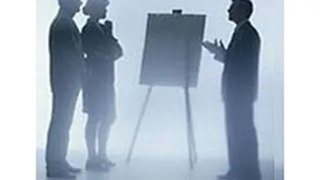 Cat de profitabile au fost principalele companii de consultanta imobiliara in 2008