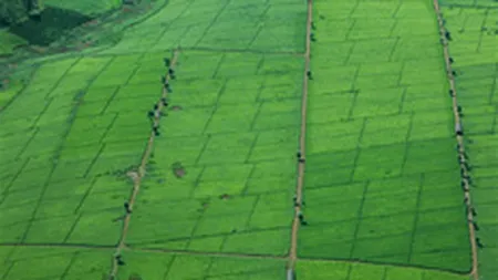 Preturile terenurilor din Bucuresti au scazut cu 25-30% in S1