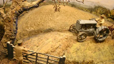 90% din firmele din mediul rural au sub 10 angajati