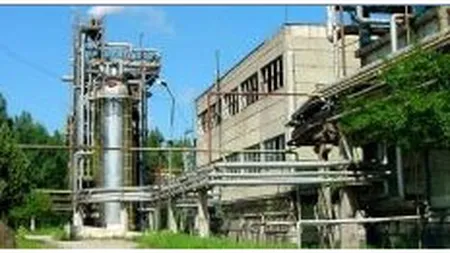 Niculae a trecut pe pierderi de 1,4 mil. euro la Viromet Victoria in S1