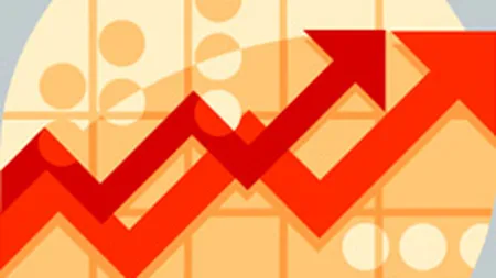 Croitoru, BNR: Romania isi va relua cresterea cu o intarziere de 8-12 luni fata de statele puternice