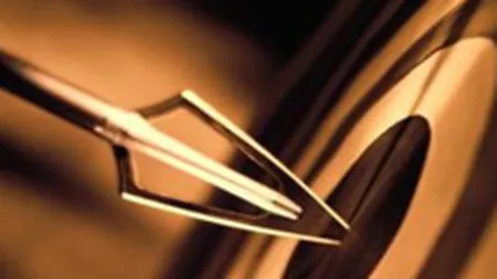 Pictas Advertising vrea afaceri cu 30% mai mari si sa-si faca o regie online