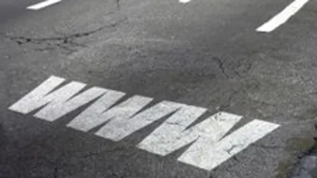 Copimaj Interactive vrea afaceri de 10 mil. lei in 2010, de 20 de ori mai mari decat in primele 6 luni