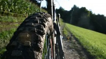 Pe cine se bazeaza piata bicicletelor in plina criza: Clientul de varsta mijlocie, cu venituri mari