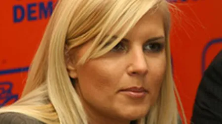 Udrea: Hotelierii vor putea depune proiecte pentru accesarea de fonduri prin Casa Verde, in 10 zile