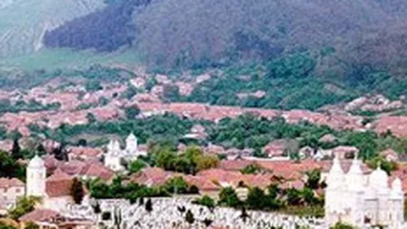 MT: Am deschis ofertele pentru brandul de tara. Inca nu am decis nimic