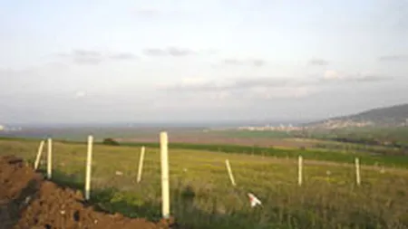 Un fond de investitii olandez negociaza pentru a cumpara 4.000 de hectare in Romania