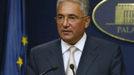 Videanu: Fara ajutor de stat nu putem resuscita petrochimia, creditarea va fi dificila in 2010