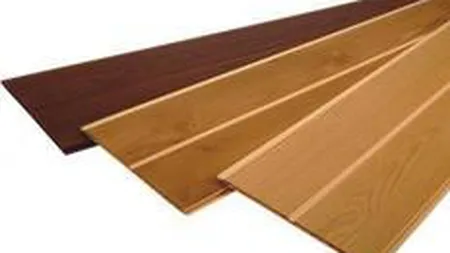 Teraplast Bistrita a realizat un profit net in scadere cu 27% la 9 luni