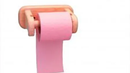 Vrancart Adjud: Profit in crestere cu 1,5% la noua luni