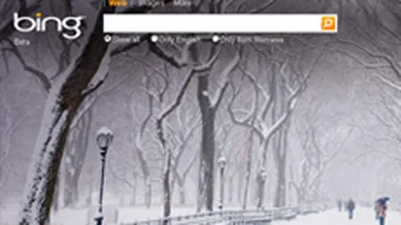 Microsoft, data in judecata pentru incalcarea drepturilor asupra marcii comerciale \Bing\