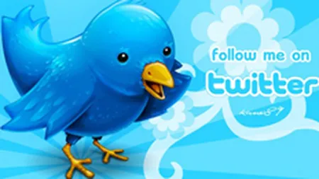 Twitter va castiga 25 mil.$ din acordurile cu Google si Microsoft