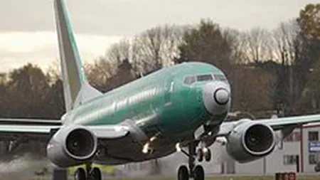 Berceanu propune un aeroport la Alexeni, langa Urziceni, care sa deserveasca Bucurestiul