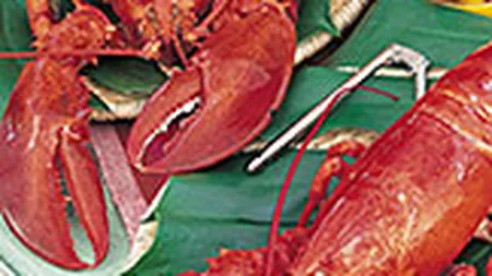 Criza loveste si crustaceele de lux: homarul a ajuns la pret de rac