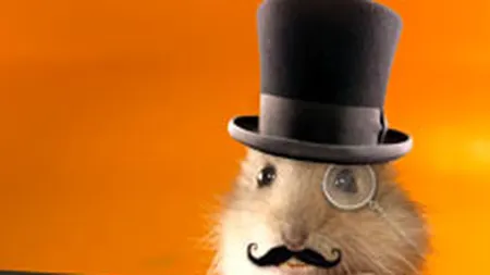 Boc si cu Guvernul lui, spaima sobolanului. De la Registrul Comertului