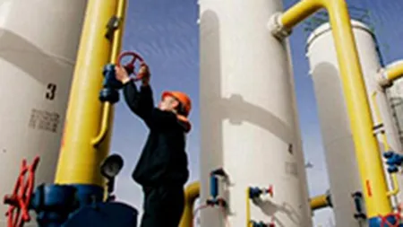 Naftogaz nu isi poate achita datoria de 900 mil. euro pentru gazele rusesti