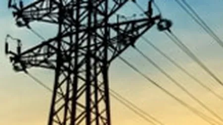 Mamutii energetici, obligati sa garanteze cu ipoteci creditul firmelor preluate