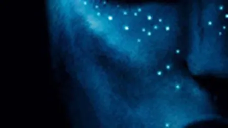 \Avatar\ ocupa pentru al patrulea weekend consecutiv primul loc in box office-ul din SUA