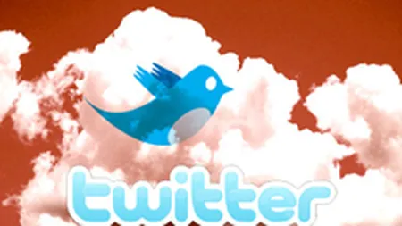 Twitter are o noua initiativa pentru a genera venituri