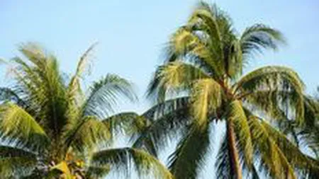 Turismul international ar putea creste in acest an cu 3-4%