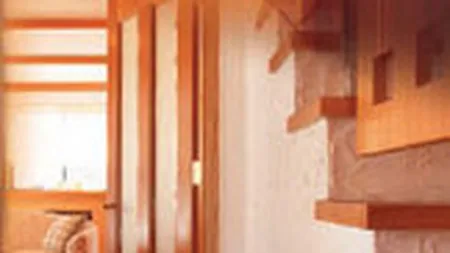 Concurenta analizeaza preluarea Finnforest de catre Holzindustrie