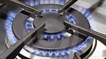 Pretul gazelor naturale va creste in aprilie