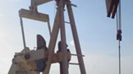 MOL si Expert Petroleum vor reabilita campurile petroliere de la granita cu Ungaria