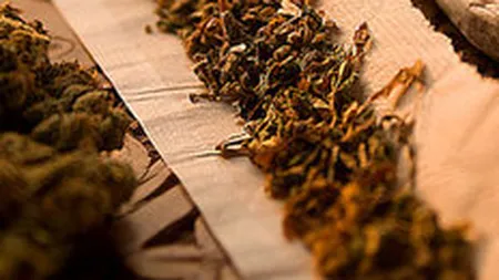 \Magazinele de vise\ din Valcea, inchise pentru cel putin trei luni