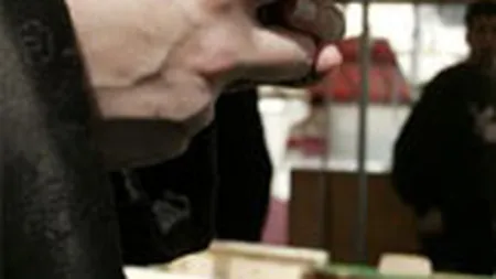 Oficial o ducem prost si in 2010. Dar din spatele cifrelor incep sa apara romanii care au invins criza