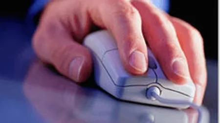 Wizrom Software a inregistrat o scadere de 5% a cifrei de afaceri in 2009