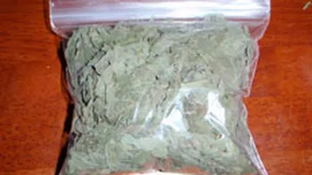 Guvernul a interzis comercializarea a 36 substante si plante etnobotanice, cunoscute ca droguri legale