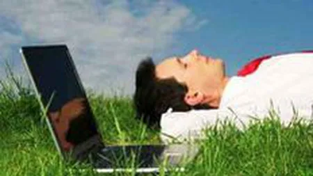 Principalele regii de publicitate online: Piata va evolua cu 10-30% in 2010, dar noi vom creste mai mult!