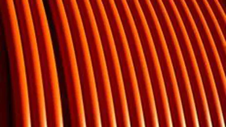 Teraplast Bistrita: Afaceri in scadere cu 2% si profit cu 41% mai mic in 2009