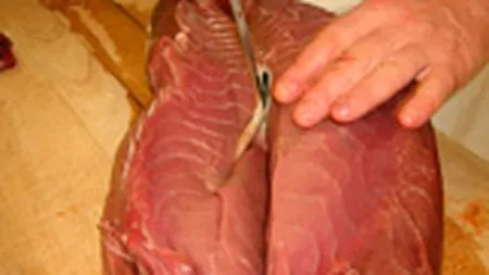 CE a propus interzicerea comertului international cu ton rosu