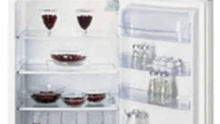 Vanzarile grupului Indesit au scazut cu 17% in 2009