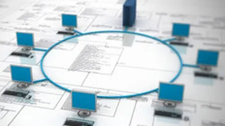 Plaut Consulting Romaina: Crestere estimata de 15% a cifrei de afaceri in 2010