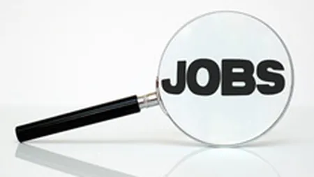 ANOFM: Peste 8.600 de joburi sunt disponibile pana pe 4 martie