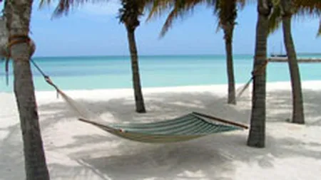 Cele mai citite articole ale saptamanii pe DailyBusiness.ro