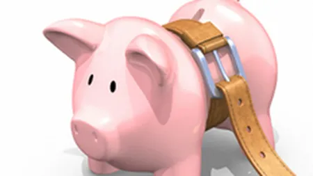 Guvernul pregateste un nou program anticriza