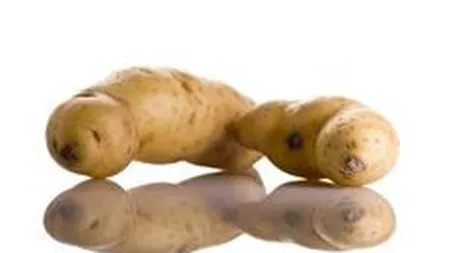 Ministerul Agriculturii este prudent in autorizarea OMG-urilor