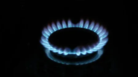 Boc: Politica ANRE este sa nu creasca pretul la gaze in 2010