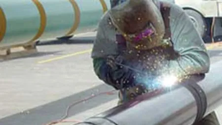 Transgaz vrea sa aloce jumatate din profit pe dividende si sa premieze angajatii cu 7,7 mil. lei