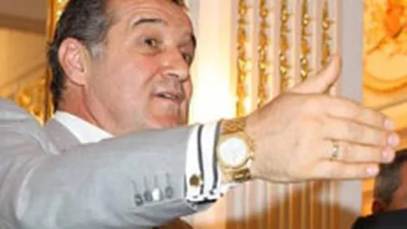 Averea lui Gigi Becali, din nou in atentia ANI