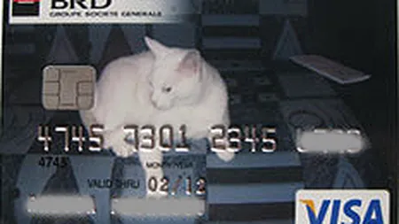 BRD a emis 8.000 de carduri personalizate intr-o luna si jumatate