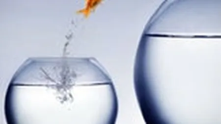 Hostway Romania lanseaza un proiect de sustinere a start-up-urilor din online